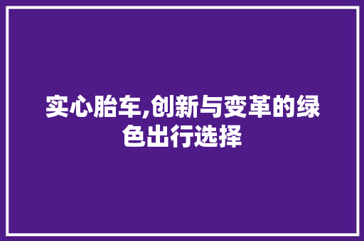 实心胎车,创新与变革的绿色出行选择 车身配件