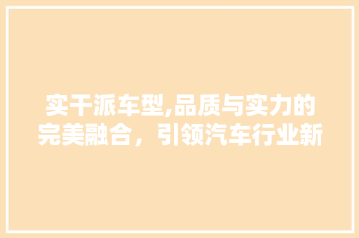 实干派车型,品质与实力的完美融合，引领汽车行业新风尚