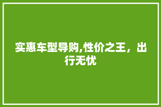 实惠车型导购,性价之王，出行无忧