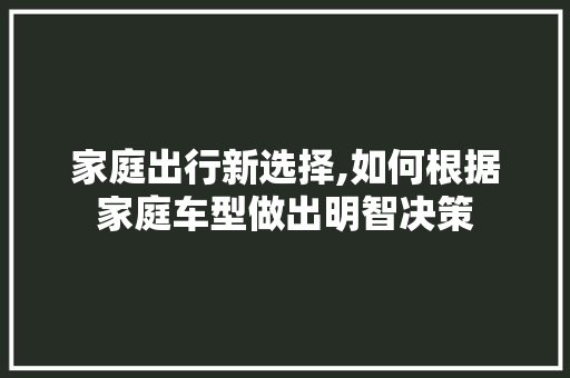 家庭出行新选择,如何根据家庭车型做出明智决策