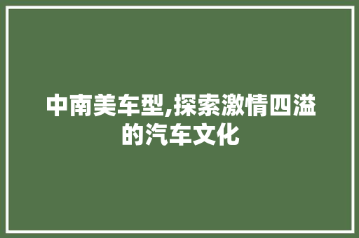 中南美车型,探索激情四溢的汽车文化