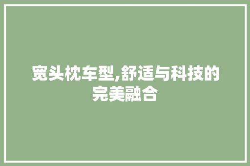 宽头枕车型,舒适与科技的完美融合