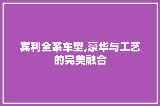 宾利全系车型,豪华与工艺的完美融合 底盘配件