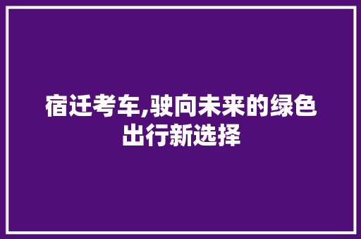 宿迁考车,驶向未来的绿色出行新选择 车身配件