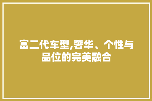 富二代车型,奢华、个性与品位的完美融合 变速箱配件