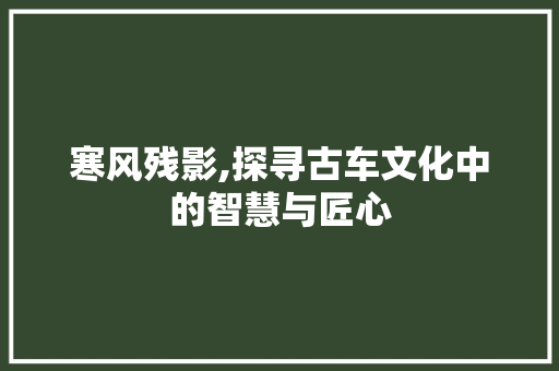寒风残影,探寻古车文化中的智慧与匠心