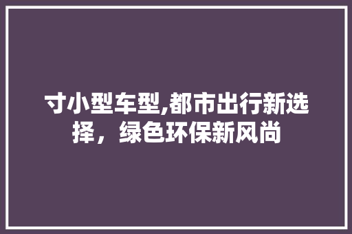 寸小型车型,都市出行新选择，绿色环保新风尚 新能源汽车