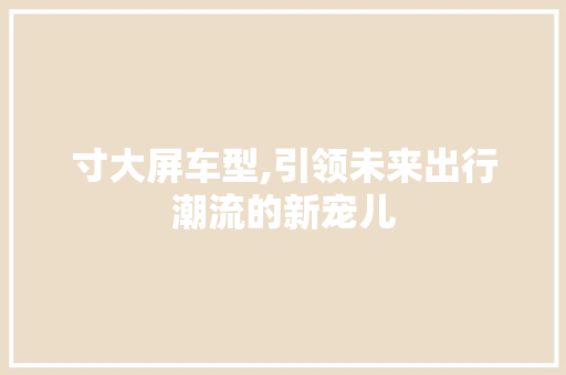 寸大屏车型,引领未来出行潮流的新宠儿