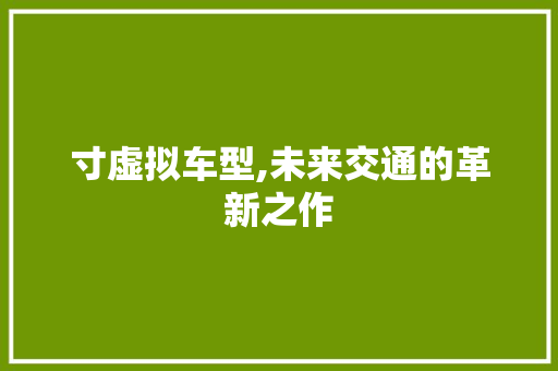 寸虚拟车型,未来交通的革新之作