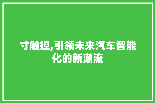 寸触控,引领未来汽车智能化的新潮流