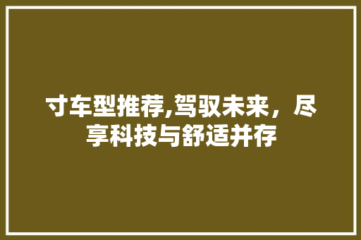寸车型推荐,驾驭未来，尽享科技与舒适并存