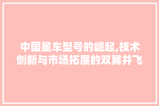 中国星车型号的崛起,技术创新与市场拓展的双翼并飞