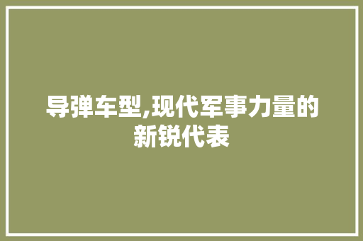 导弹车型,现代军事力量的新锐代表