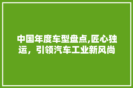 中国年度车型盘点,匠心独运，引领汽车工业新风尚