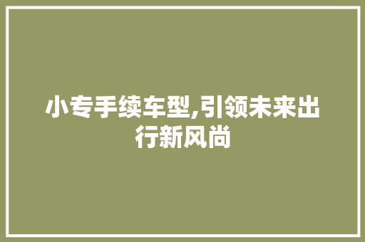 小专手续车型,引领未来出行新风尚 汽车配件