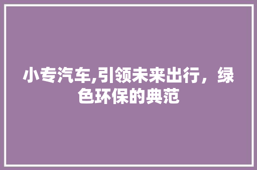 小专汽车,引领未来出行，绿色环保的典范