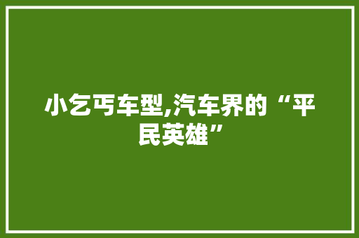 小乞丐车型,汽车界的“平民英雄”