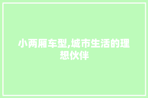 小两厢车型,城市生活的理想伙伴