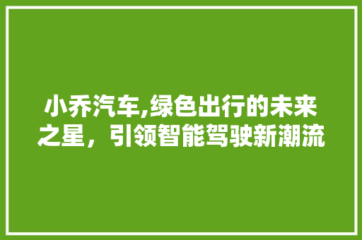 小乔汽车,绿色出行的未来之星，引领智能驾驶新潮流