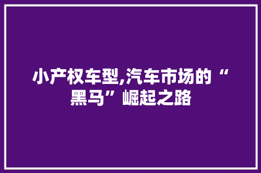 小产权车型,汽车市场的“黑马”崛起之路