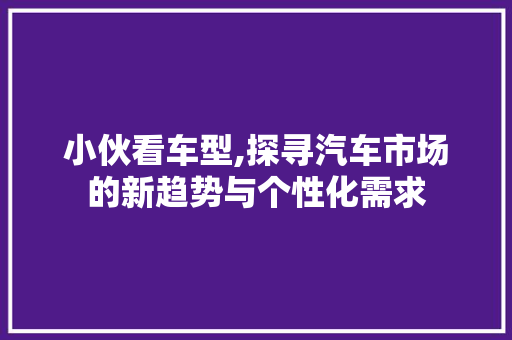 小伙看车型,探寻汽车市场的新趋势与个性化需求
