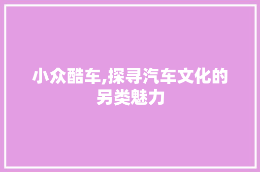 小众酷车,探寻汽车文化的另类魅力