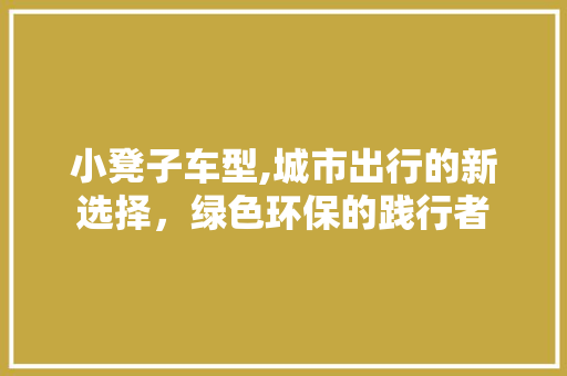 小凳子车型,城市出行的新选择，绿色环保的践行者