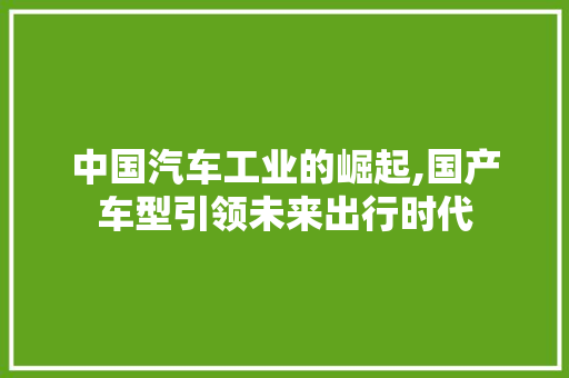 中国汽车工业的崛起,国产车型引领未来出行时代