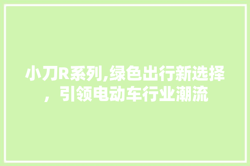 小刀R系列,绿色出行新选择，引领电动车行业潮流