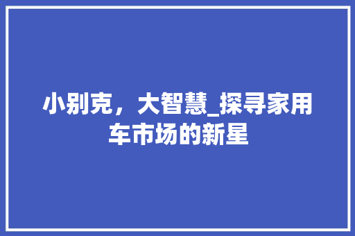 小别克，大智慧_探寻家用车市场的新星