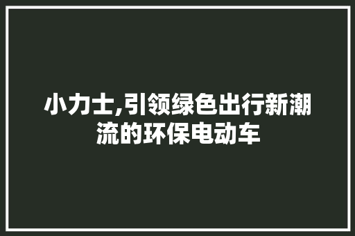 小力士,引领绿色出行新潮流的环保电动车
