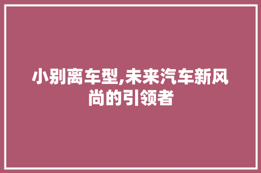 小别离车型,未来汽车新风尚的引领者