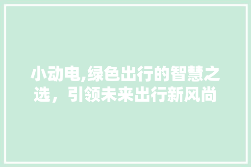小动电,绿色出行的智慧之选，引领未来出行新风尚