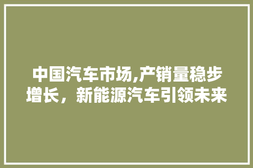 中国汽车市场,产销量稳步增长，新能源汽车引领未来