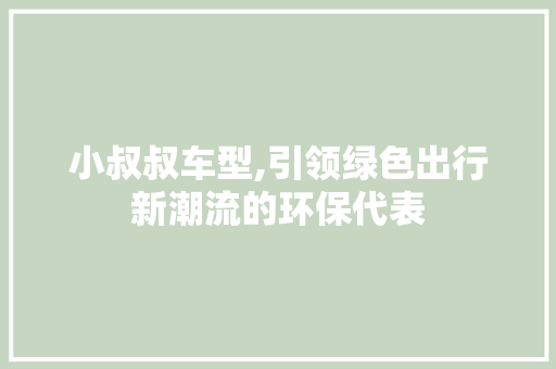 小叔叔车型,引领绿色出行新潮流的环保代表 汽车配件
