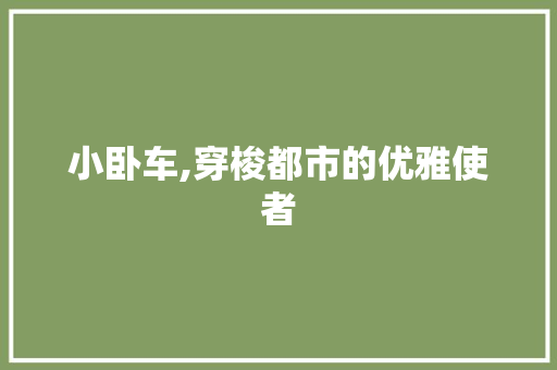 小卧车,穿梭都市的优雅使者