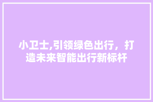 小卫士,引领绿色出行，打造未来智能出行新标杆