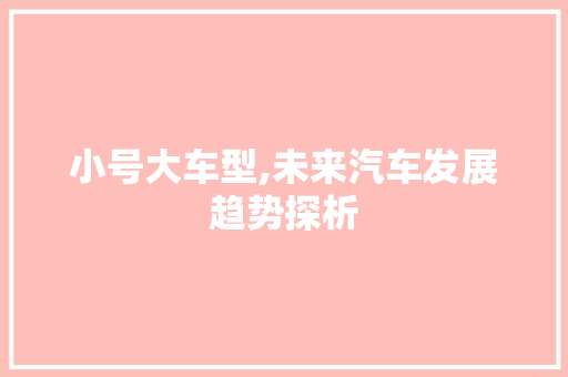 小号大车型,未来汽车发展趋势探析