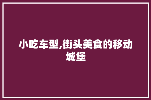 小吃车型,街头美食的移动城堡