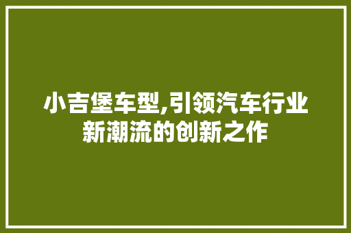 小吉堡车型,引领汽车行业新潮流的创新之作