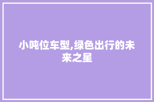 小吨位车型,绿色出行的未来之星 变速箱配件