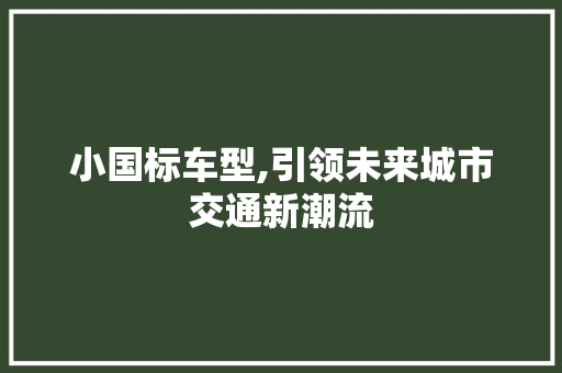 小国标车型,引领未来城市交通新潮流