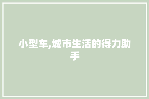 小型车,城市生活的得力助手 车灯配件