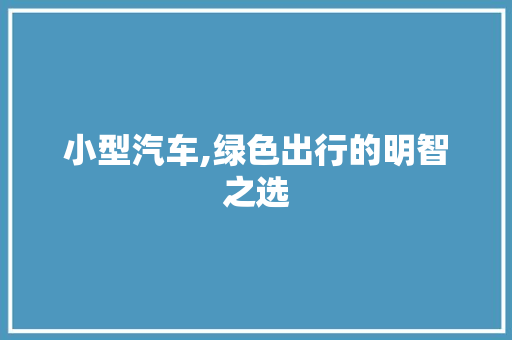 小型汽车,绿色出行的明智之选 汽车配件