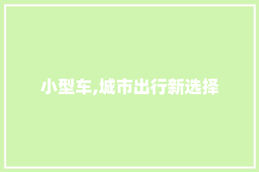 小型车,城市出行新选择
