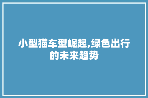 小型猫车型崛起,绿色出行的未来趋势