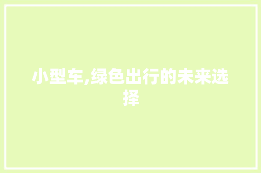 小型车,绿色出行的未来选择