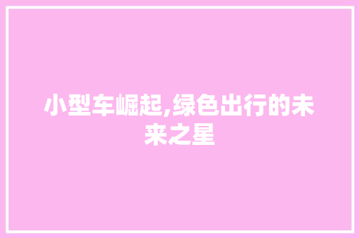 小型车崛起,绿色出行的未来之星