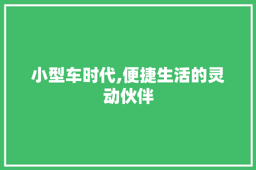 小型车时代,便捷生活的灵动伙伴