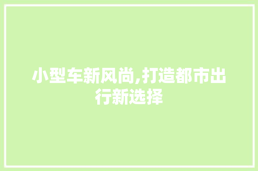 小型车新风尚,打造都市出行新选择